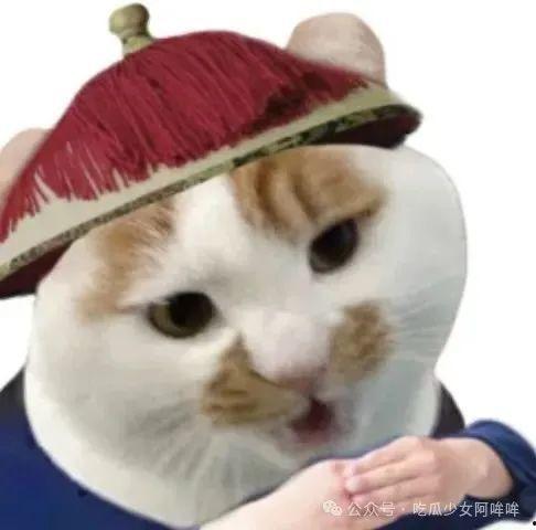 吃瓜小熊男网红是谁啊,吃瓜小熊男网红背后的故事