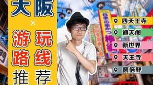 吃瓜网丸崽vlog,揭秘吃瓜网幕后故事，带你领略网络红人的真实生活