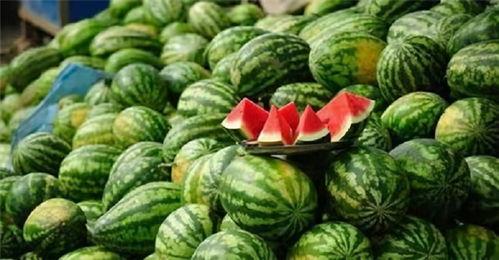 吃瓜网广西行健,探寻壮乡健身文化新风尚