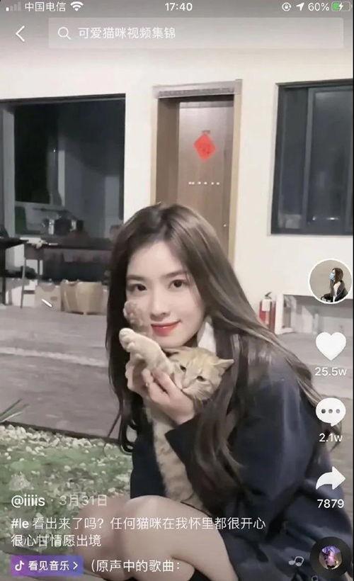 女网红合集吃瓜,女网红们的吃瓜盛宴