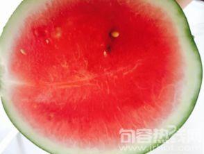 句容吃瓜网,揭秘本地热点，畅享八卦盛宴