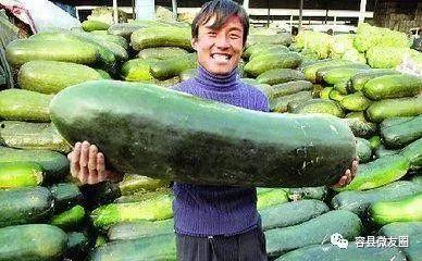 一起吃瓜网,一起吃瓜网带你领略明星幕后故事