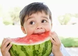 吃瓜网周周乖崽,揭秘娱乐圈幕后故事