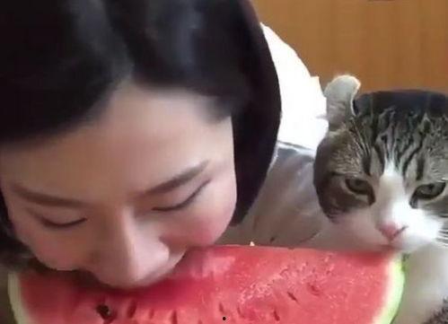 吃瓜网周周乖崽,揭秘娱乐圈幕后故事