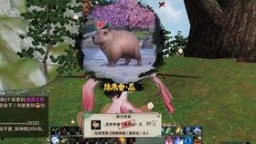 剑网3吃瓜树洞,揭秘江湖风云背后的秘密