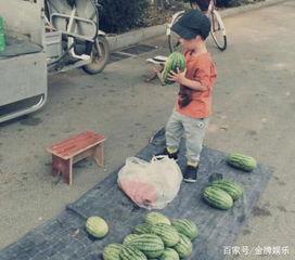 吃瓜网回老家路滑,吃瓜网网友亲身经历，揭秘乡村道路安全隐患