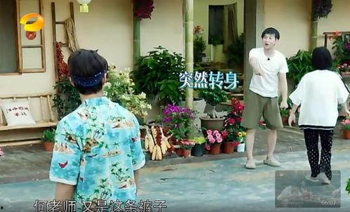 陇西网红吃瓜事件真相,揭秘背后真相与反思