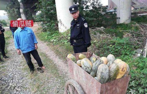 务川网红吃瓜事件真相,真相背后的网络舆论风暴