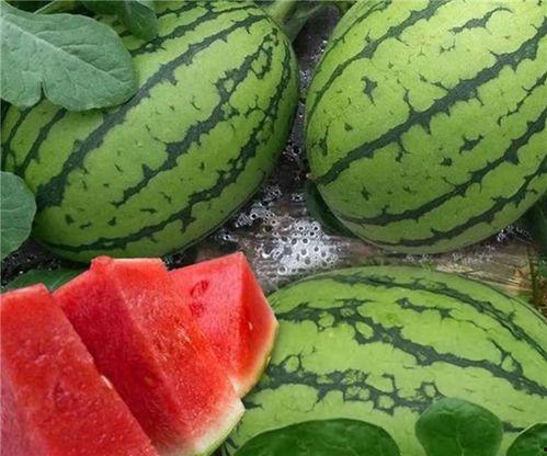 从哪进吃瓜网,揭秘网络热点背后的真相