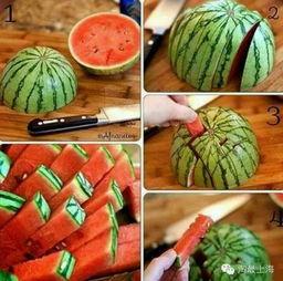 网传解剖吃瓜,揭秘背后真相与伦理争议