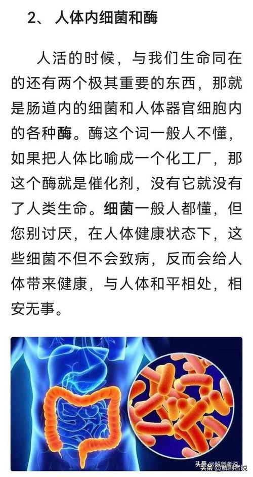 网传解剖吃瓜,揭秘背后真相与伦理争议