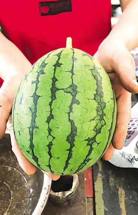 青岛吃瓜网,揭秘青岛美食圈的热辣新鲜事