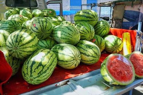 南宁吃瓜网红事件真相,揭秘背后真相与网络舆论的漩涡