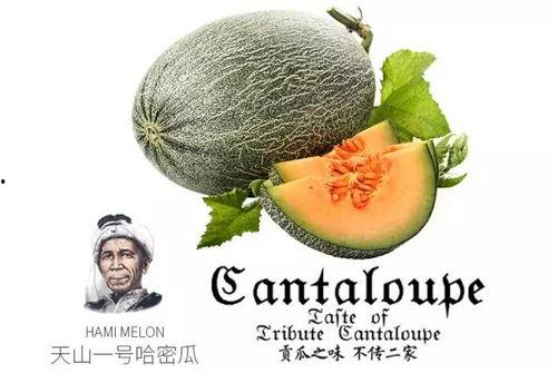 qq吃瓜网红推荐,跟随QQ吃瓜网红探寻娱乐圈幕后故事