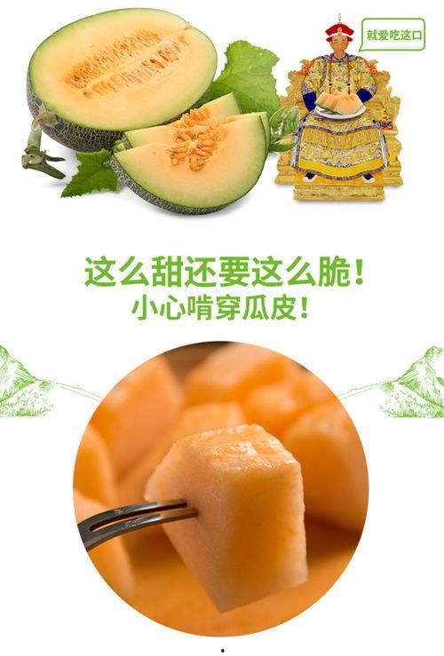 qq吃瓜网红推荐,跟随QQ吃瓜网红探寻娱乐圈幕后故事