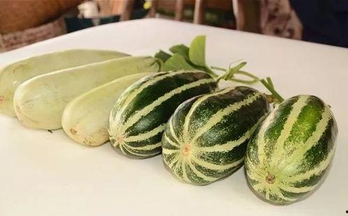 泡泡吃瓜网红,揭秘网红圈背后的故事