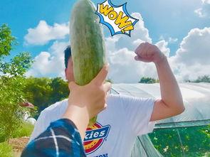 今日吃瓜网红吃瓜