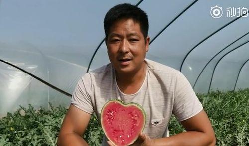 吃瓜网森西分享,带你领略娱乐圈幕后故事