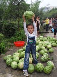 www吃瓜网,www吃瓜网带你领略明星幕后故事