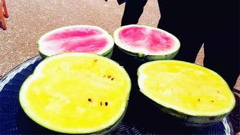 网爆吃瓜爆料图片高清大图,高清大图揭秘幕后真相