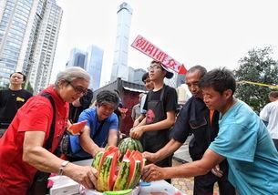 51g朝阳吃瓜群众网