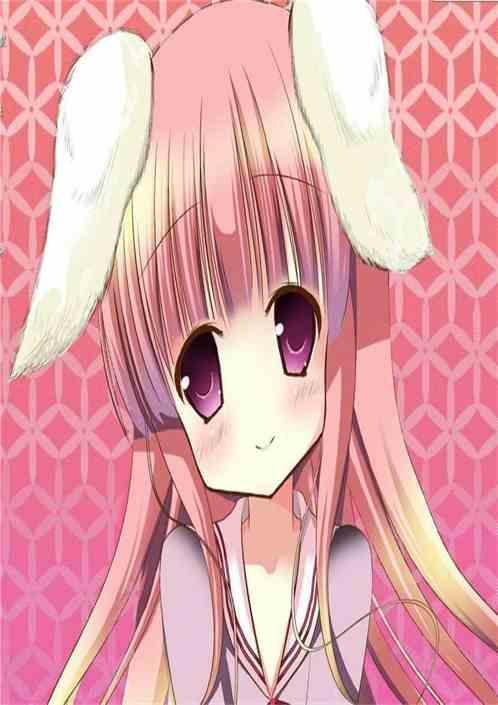 穿越网王吃瓜,一场穿越后的甜蜜冒险