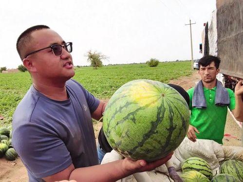 马滩吃瓜网,揭秘娱乐圈幕后故事，带你领略明星真实生活