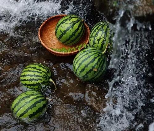 吃瓜网密码是多少,揭秘网络世界中的神秘符号