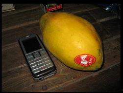 吃瓜的台湾网红是谁啊