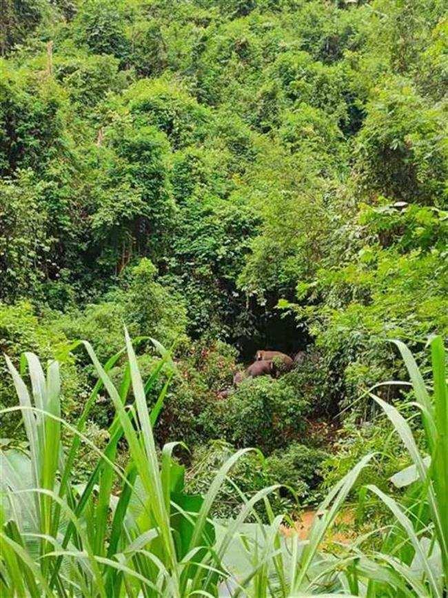 网红吃瓜聊天群怎么进,如何轻松加入神秘社交圈