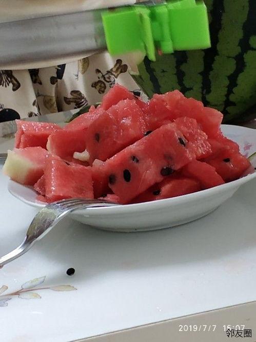 吃瓜神器 网红,网络红人的新宠儿