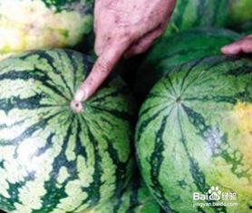 网红视频吃瓜鉴定,揭秘网络红人的真实生活