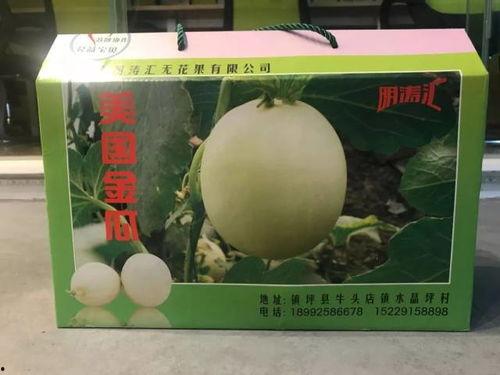 美国吃瓜网,揭秘娱乐圈幕后真相，带你领略不一样的娱乐世界