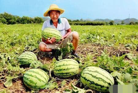 吃瓜网戴路  第3张