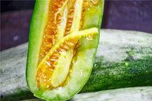 青海网红吃瓜  第3张