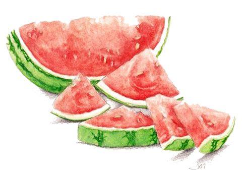 52吃瓜网地址,带你领略网络吃瓜文化的魅力 第2张 52吃瓜网地址,带你领略网络吃瓜文化的魅力 第2张