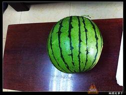 52吃瓜网地址,带你领略网络吃瓜文化的魅力 第3张 52吃瓜网地址,带你领略网络吃瓜文化的魅力 第3张