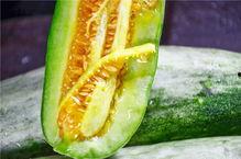 广州网红安琪儿的吃瓜,娱乐圈那些不为人知的“瓜” 第3张 广州网红安琪儿的吃瓜,娱乐圈那些不为人知的“瓜” 第3张