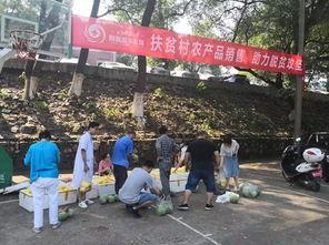 醴陵吃瓜网,揭秘醴陵美食背后的故事与风情  第2张