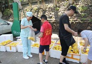 醴陵吃瓜网,揭秘醴陵美食背后的故事与风情  第3张