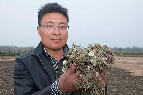 吃瓜网新闻报道亮点怎么写