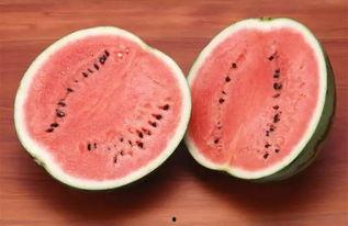 西昌吃瓜事件网红叫什么,网红引发的网络狂欢  第2张