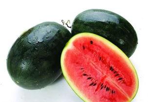 东北网红吃瓜是谁呀图片