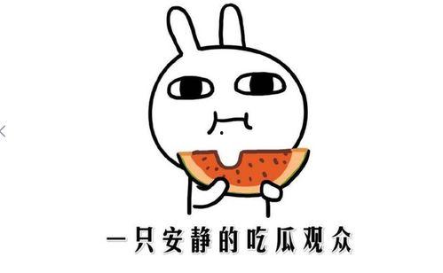 网红吃瓜抖音,揭秘娱乐圈幕后真相  第1张