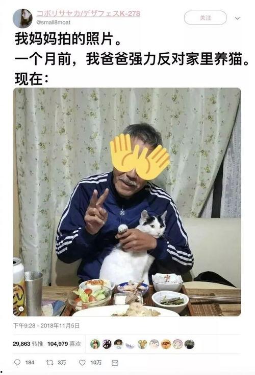 吃瓜群抖音网红叫什么,揭秘网络红人的崛起之路  第3张