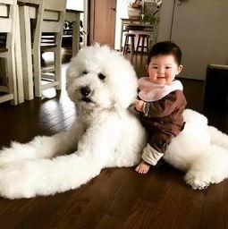 香香和爱犬的日常吃瓜网  第3张