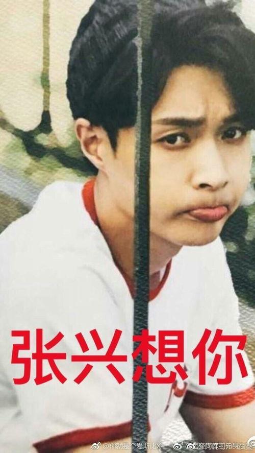 网红明星吃瓜表情包微博