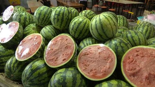 网瓜都是怎样吃,探索创意吃瓜新潮流  第2张