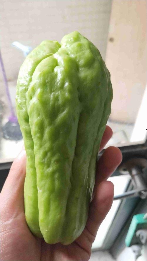 网瓜都是怎样吃,探索创意吃瓜新潮流  第3张