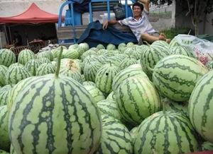 吃瓜日网,网络热议背后的真相与趣味  第3张